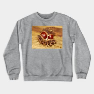 horse chestnut - conker Crewneck Sweatshirt